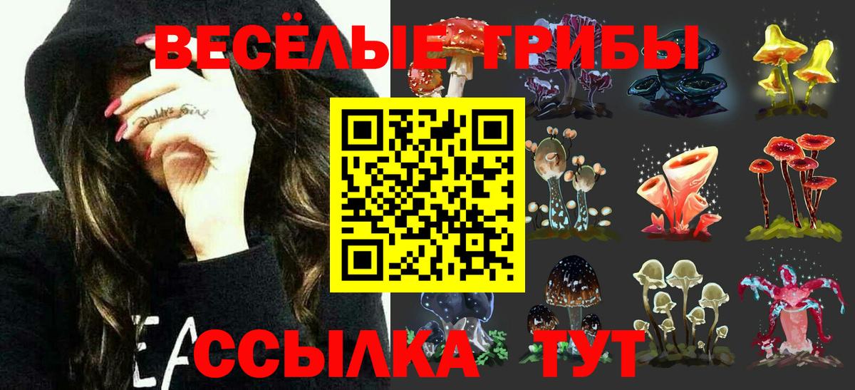 Кушва  Псилоцибиновые грибы Cubensis  Вход с VPN 